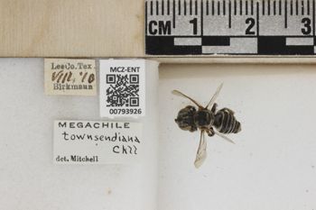 Media type: image;   Entomology 793926 Aspect: Labels